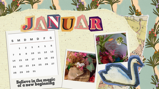Hallo Januar!
