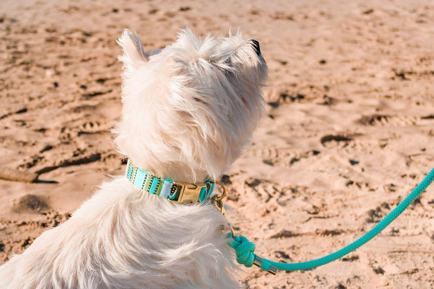Handgemachtes Hundehalsband Baumwolle Glitzereffekt – Ancara