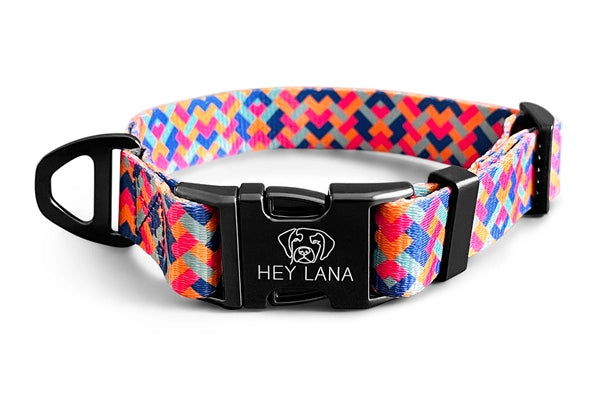 Hundehalsband Kunterbunt | Pink/Türkis