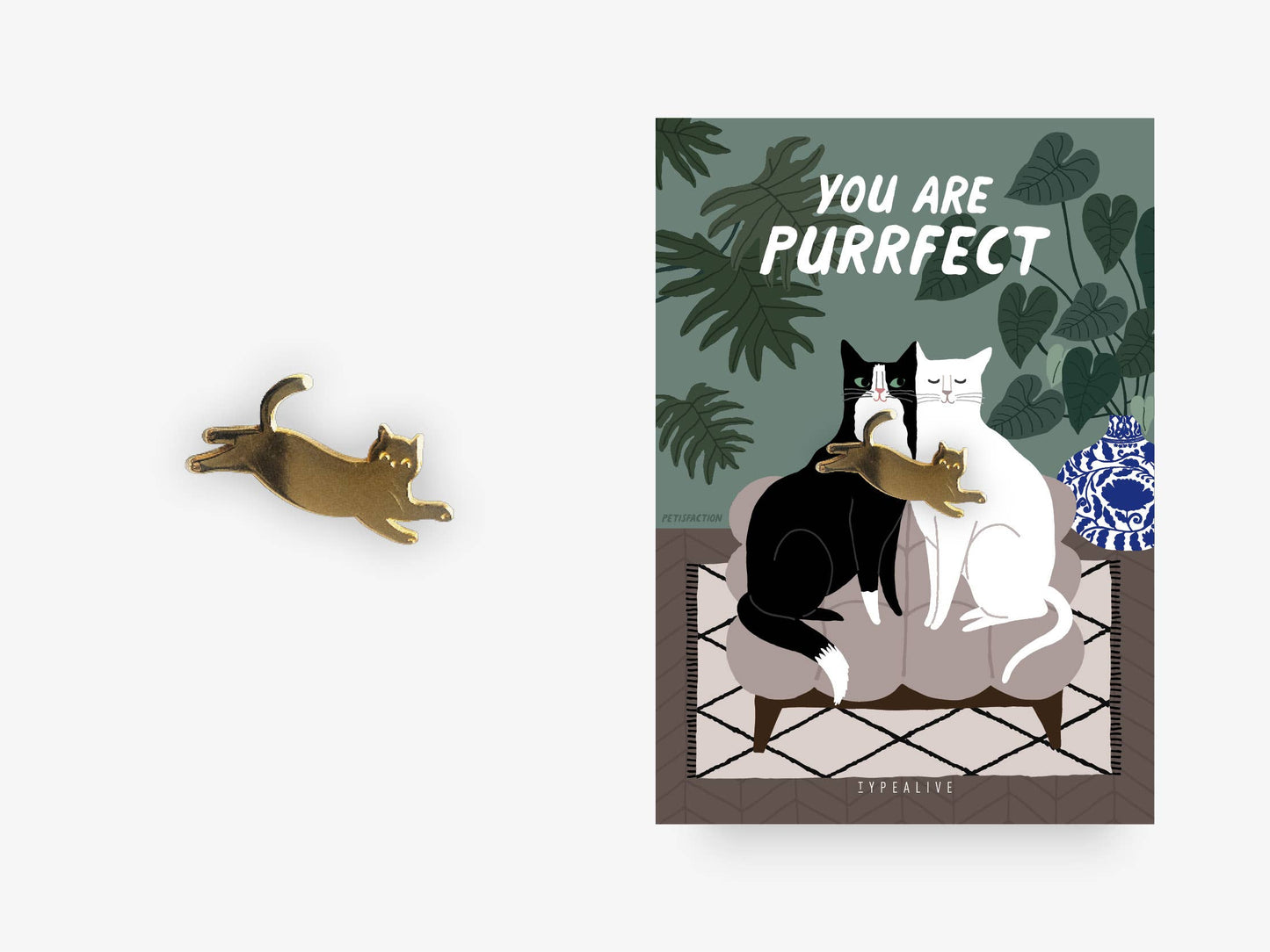 Pin You Are Purrfect