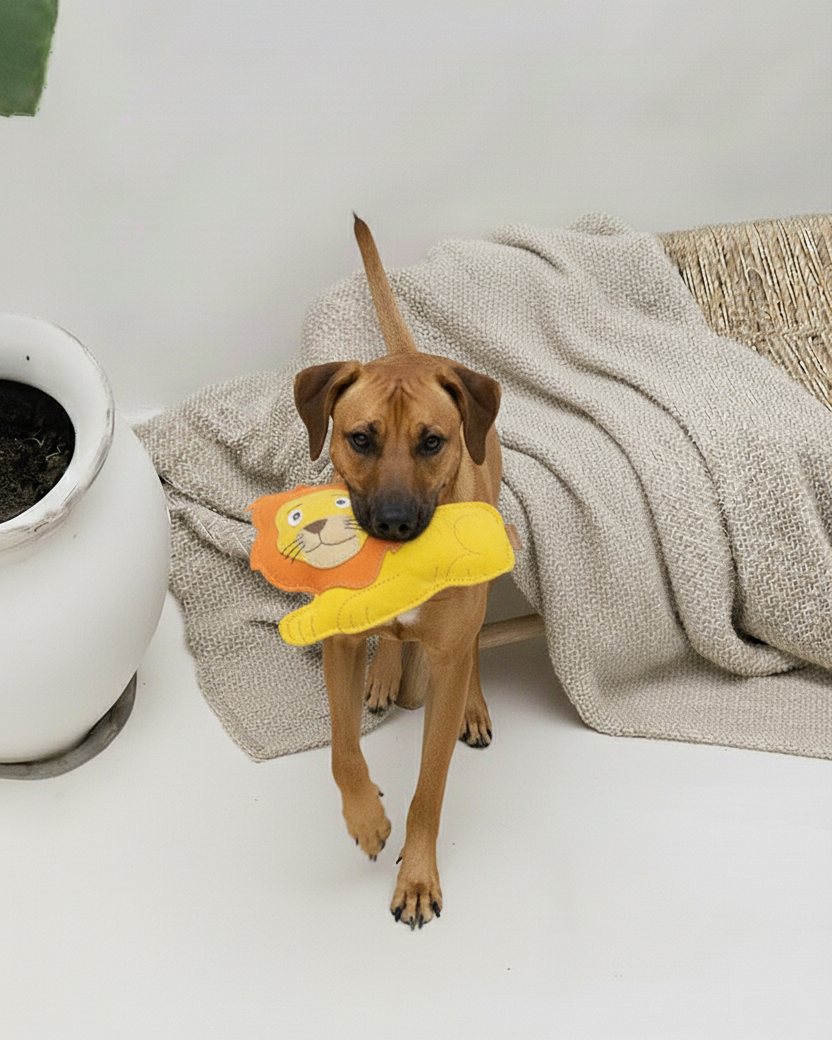 Hundespielzeug "Leo the Lion"