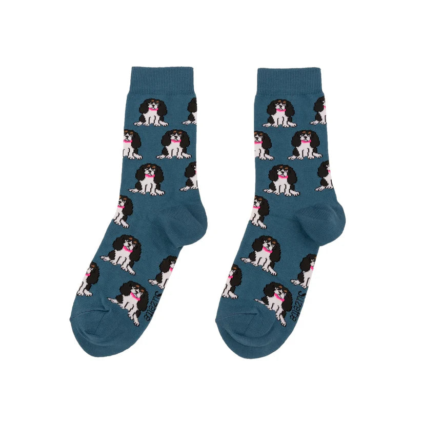Socken Dog Socks | verschiedene Motive
