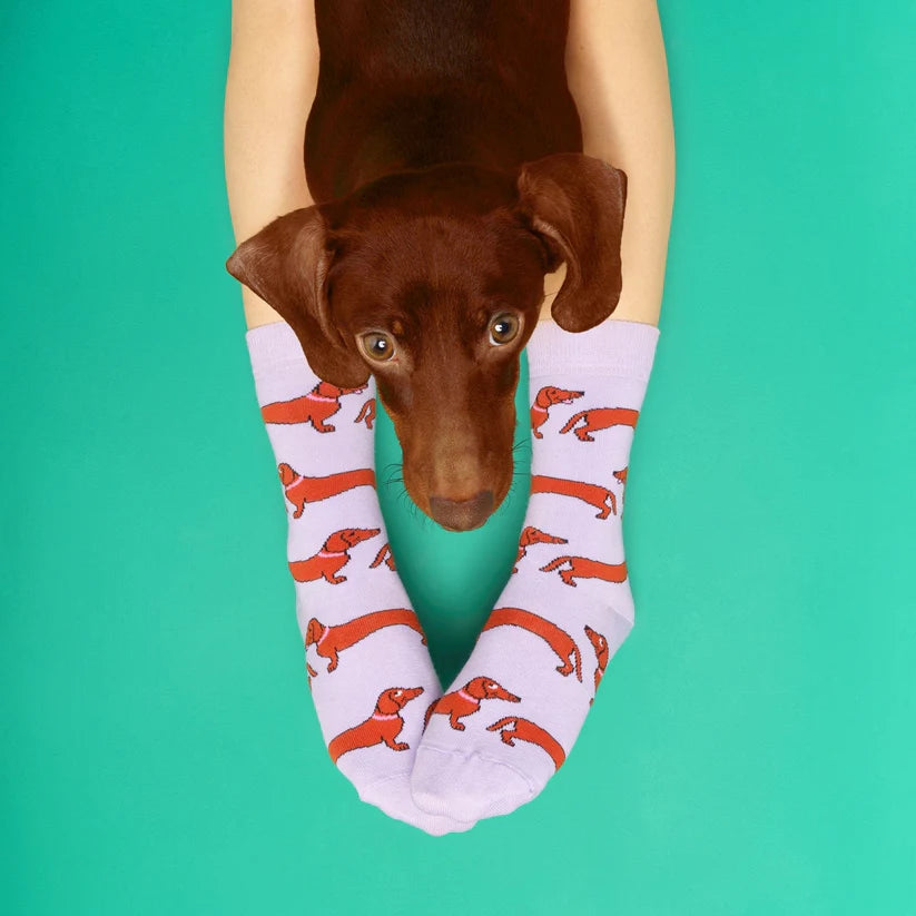 Socken Dog Socks | verschiedene Motive