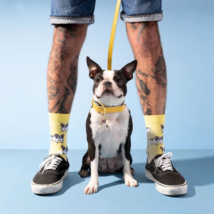 Socken Dog Socks | verschiedene Motive