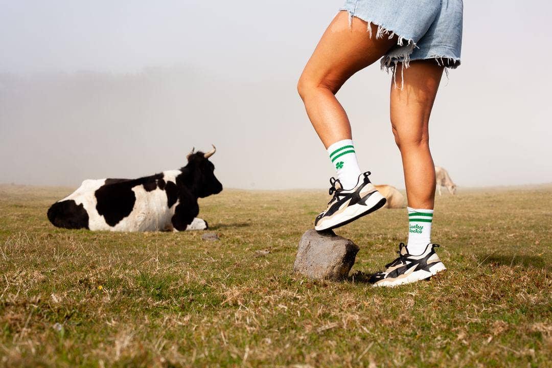 Socken Lucky Socks