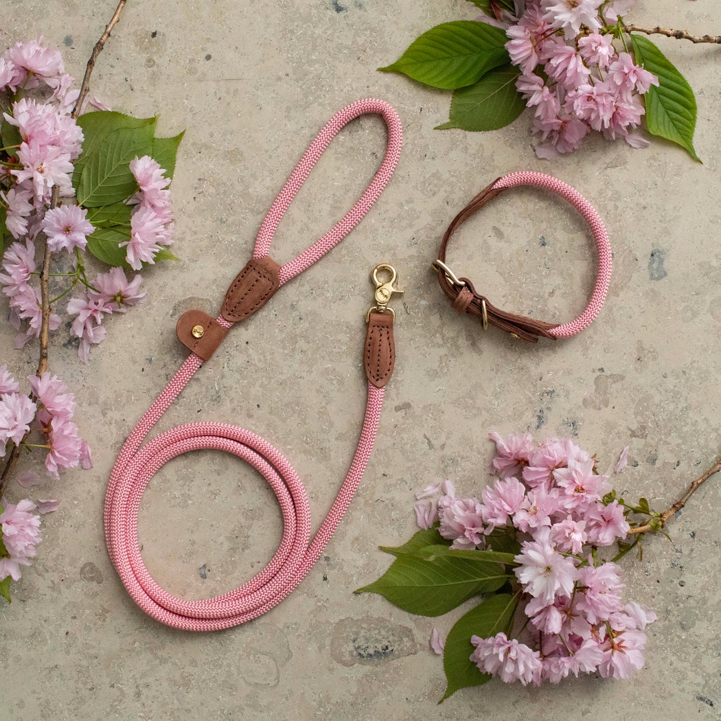 Hundeleine Torekov Cherry Blossom