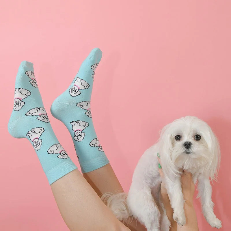 Socken Dog Socks | verschiedene Motive