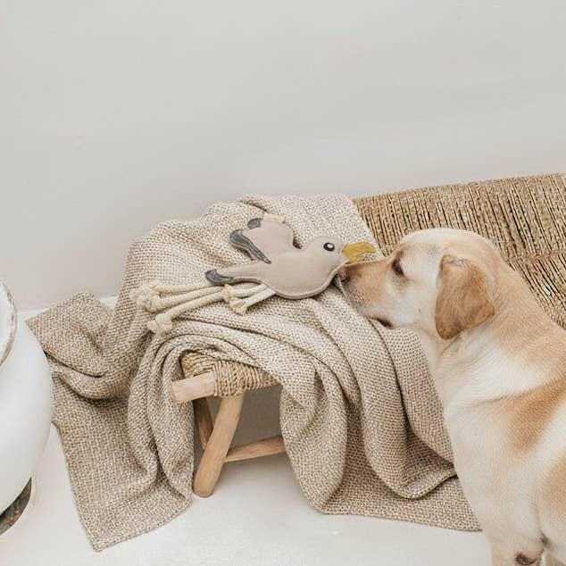 Hundespielzeug Gigi Gull aus Leder