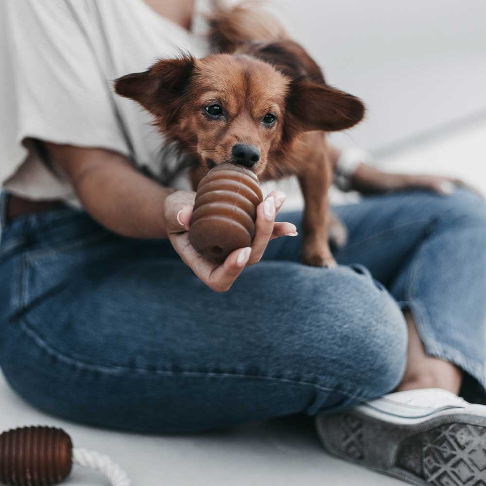 Hundespielzeug Rub Jumpty Dumpty