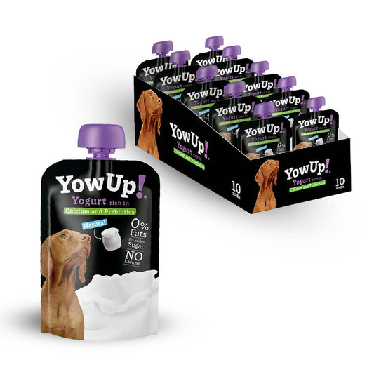 YowUp Joghurt Natur für Hunde | laktosefrei
