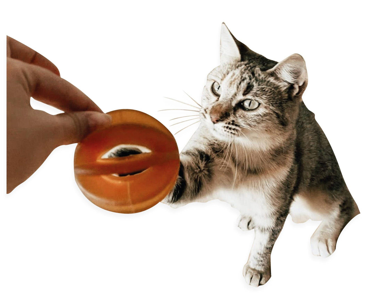 Katzenspielzeug Rub Funny Ball Cats X2
