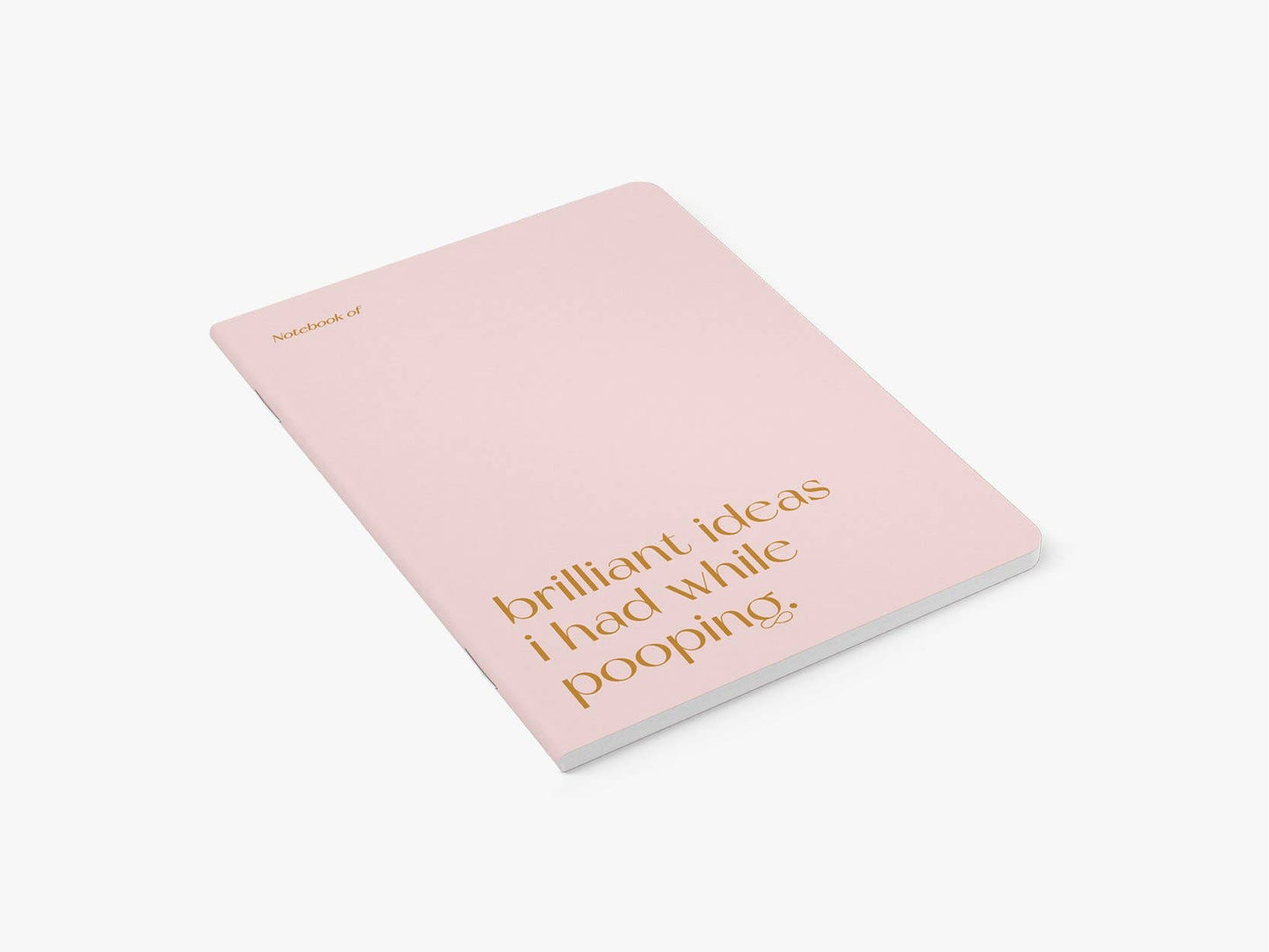 Notizheft Brilliant Pooping