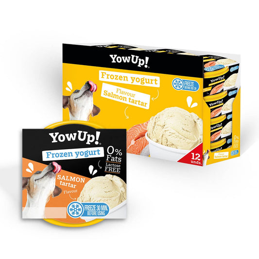 YowUp Eiscreme Joghurt Lachs-Tartar | laktosefrei