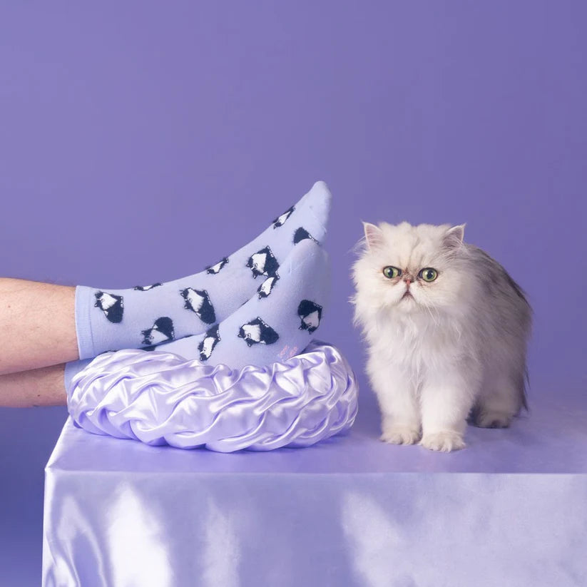 Socken Cat Socks | verschiedene Motive