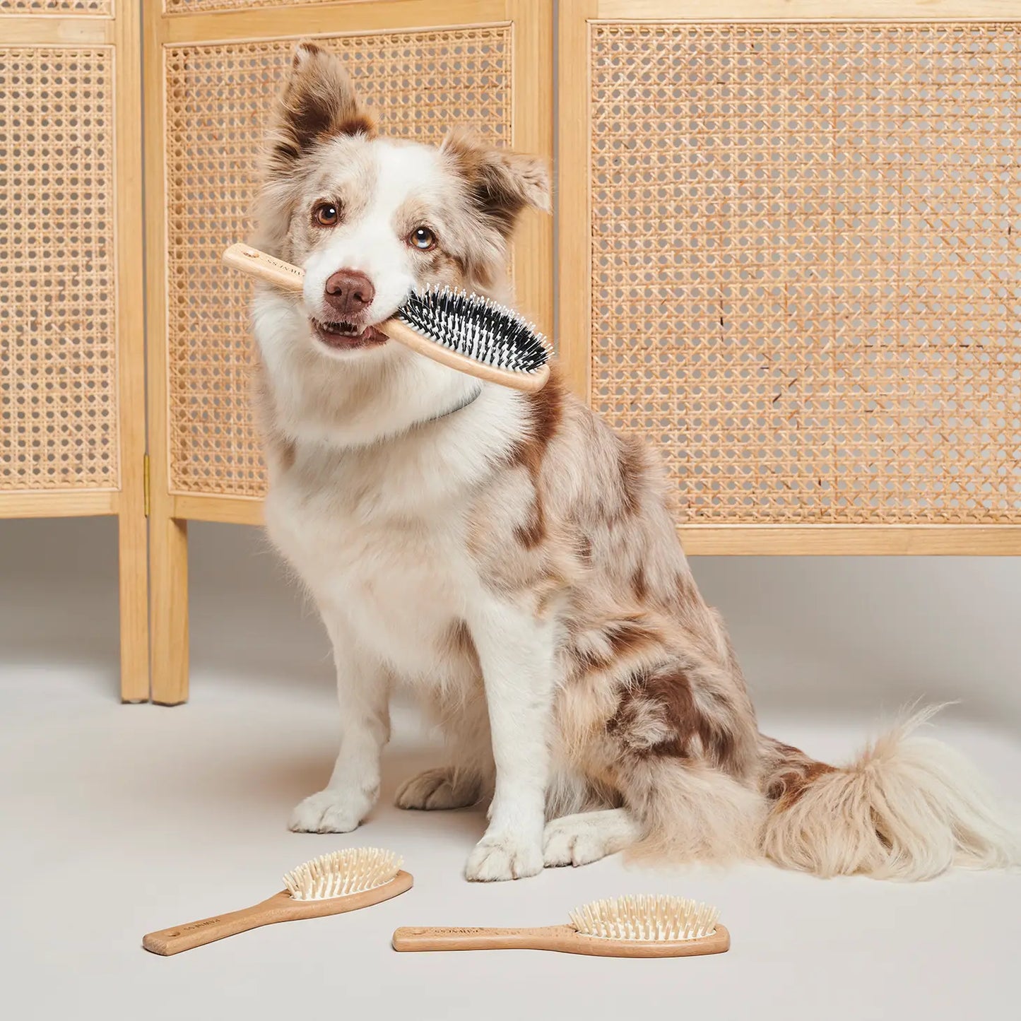Vegane Hundehaarbürste aus Holz & Nylon