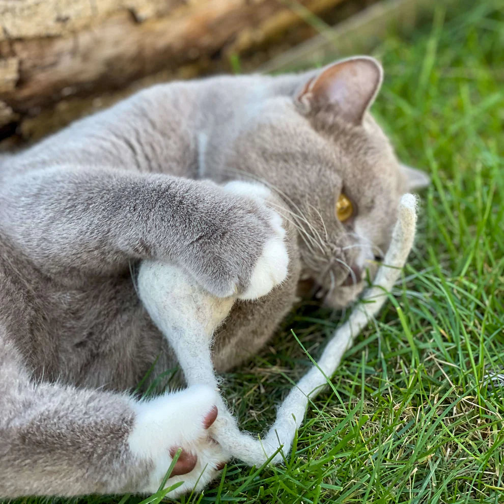 Filzmaus