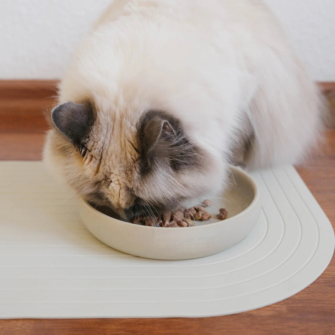 Futternapf Gourmet | Creme & Schwarz