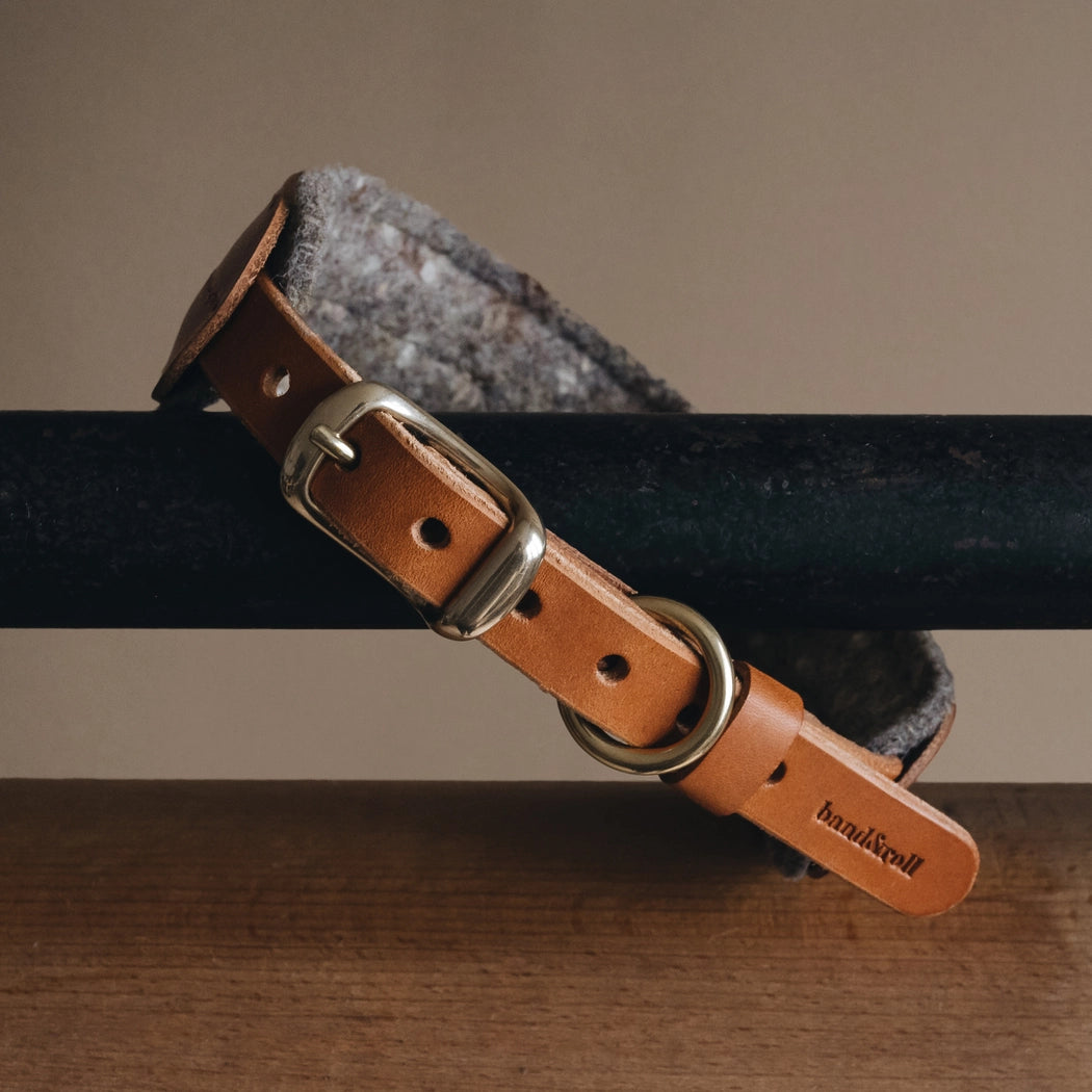 Gepolstertes Hundehalsband PINE Hellbraun