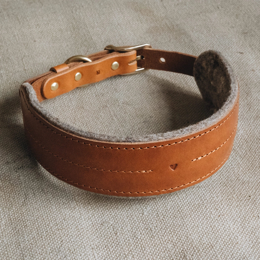 Gepolstertes Hundehalsband PINE Hellbraun