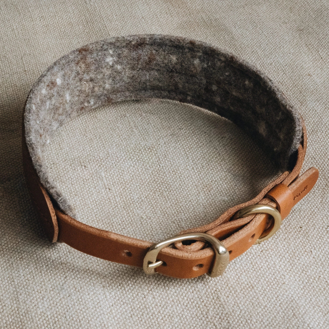 Gepolstertes Hundehalsband PINE Hellbraun
