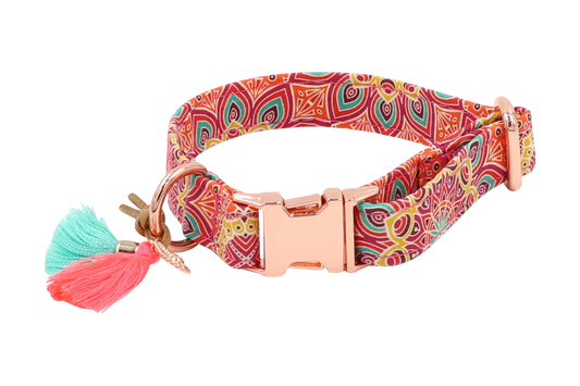 Handgemachtes Hundehalsband aus Baumwolle – Happy