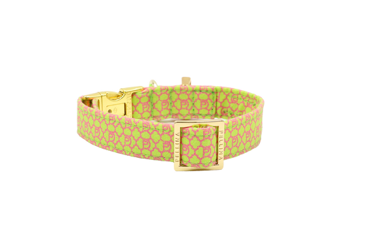 Handgemachtes Hundehalsband aus Baumwolle – SIGNATURE Summer Green
