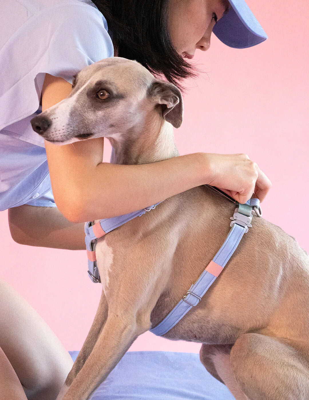 Hundegeschirr Air Canvas Blau