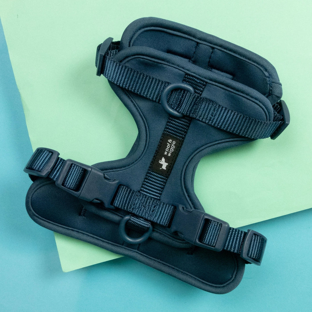 Handgemachtes Hundegeschirr Explorer aus Neopren in Navy von woof & wiggle, erhältlich bei fiffi&muschi - Hundeladen/Concept Store Köln