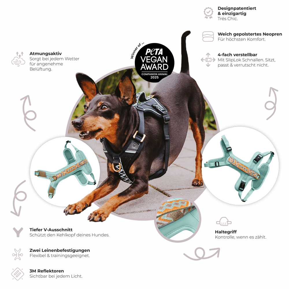 Handgemachtes Premium Hundegeschirr Gepolstert von Hey Lana Funktionen, erhältlich bei fiffi&muschi - Hundeladen/Concept Store Köln