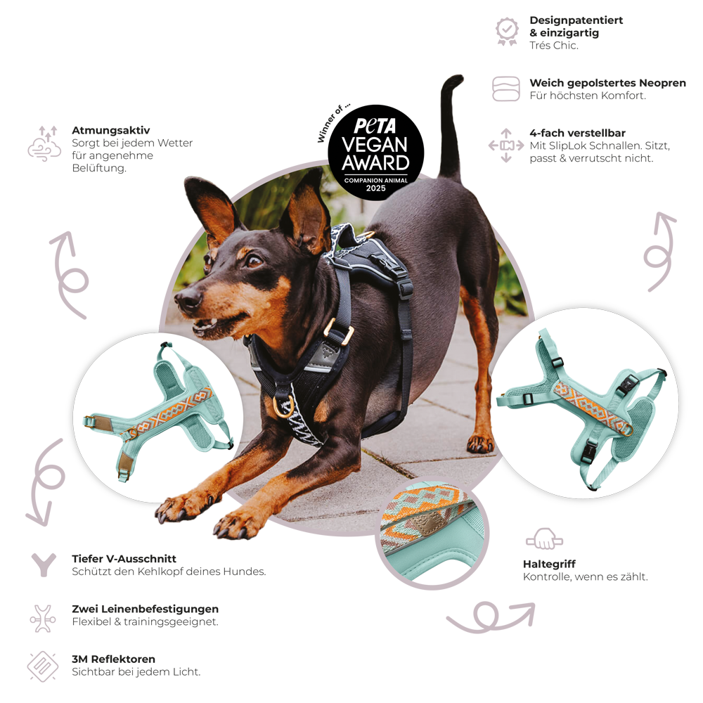 Handgemachtes Premium Hundegeschirr Gepolstert von Hey Lana Funktionen, erhältlich bei fiffi&muschi - Hundeladen/Concept Store Köln