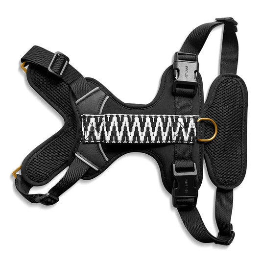 Handgemachtes Premium Hundegeschirr Gepolstert Schwarz/Weiß von Hey Lana Ansicht Rücken, erhältlich bei fiffi&muschi - Hundeladen/Concept Store Köln