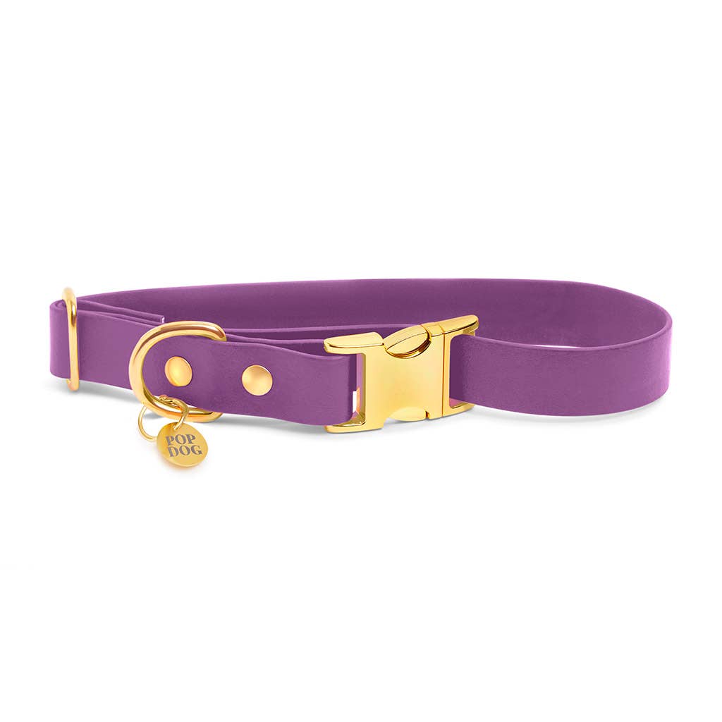 Handgemachtes Hundehalsband Biothane Klickverschluss – PRECIOUS –  fiffi&muschi