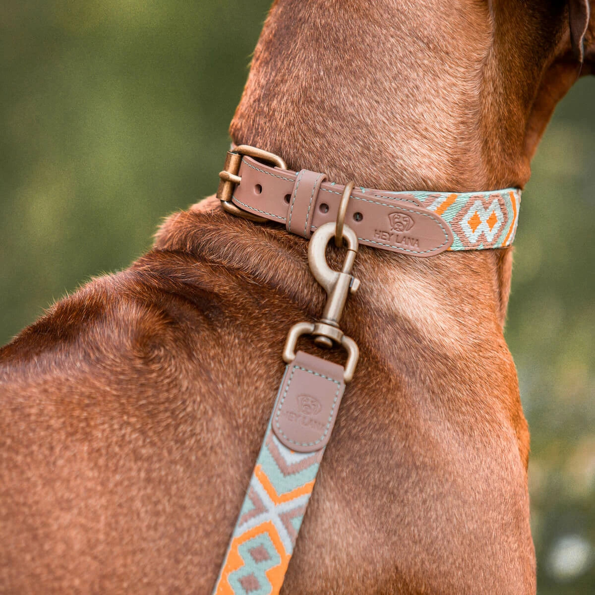 Hundeleine Premium 3fach verstellbar Mint/Orange