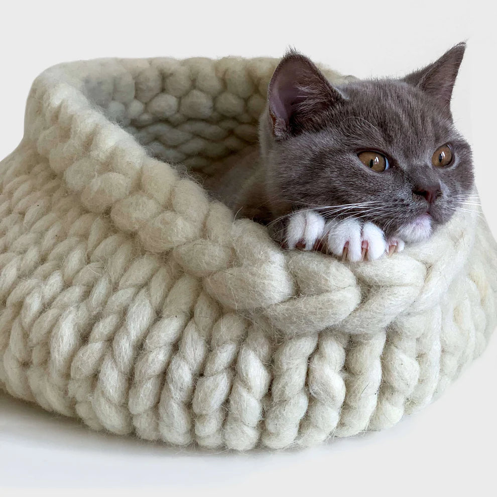 Katzenbett Suite