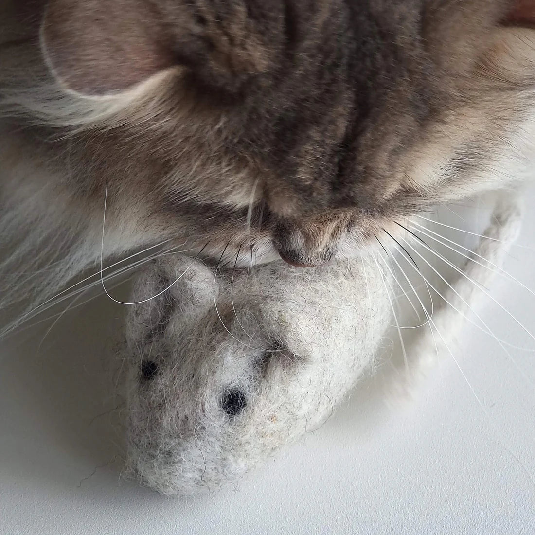 Filzmaus