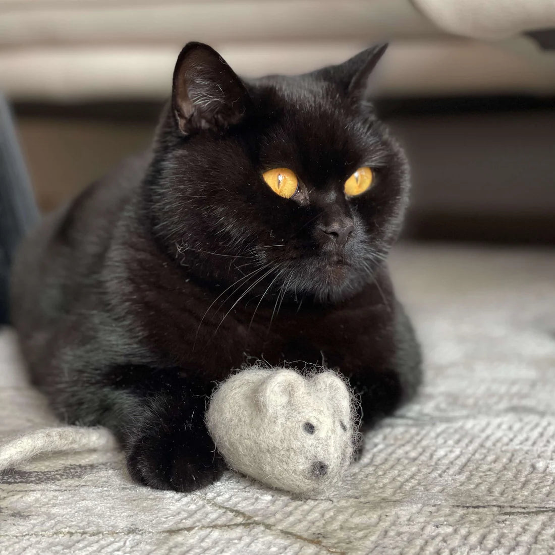 Filzmaus