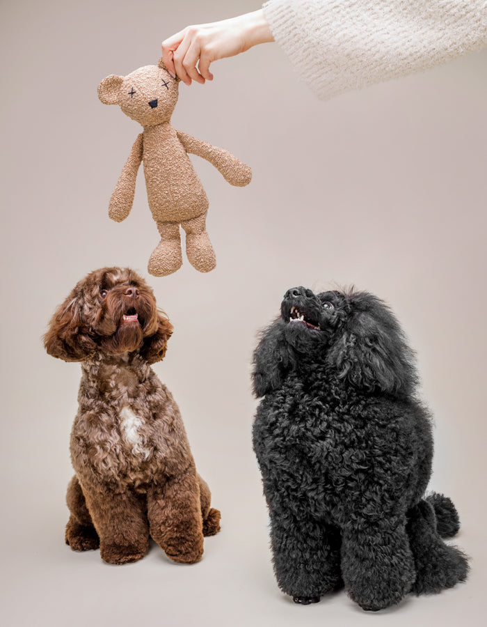 Hundespielzeug Teddybär BERTY