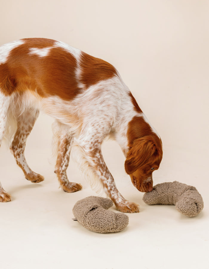 Schnüffel-/Aktivierungsspielzeug für Hunde CROISSANT