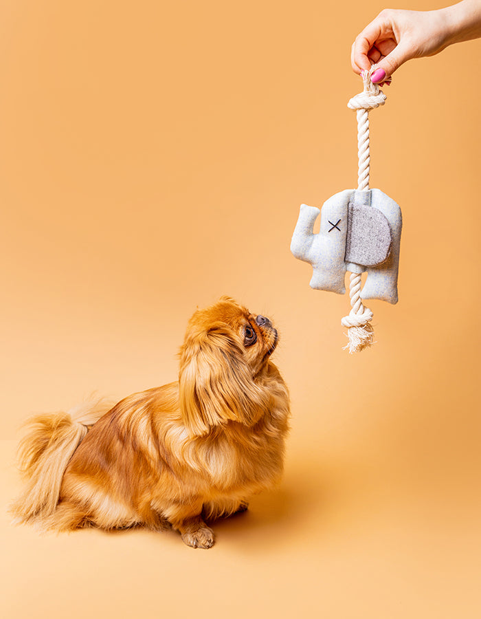 Hundespielzeug Elefant mit Seil EMMA