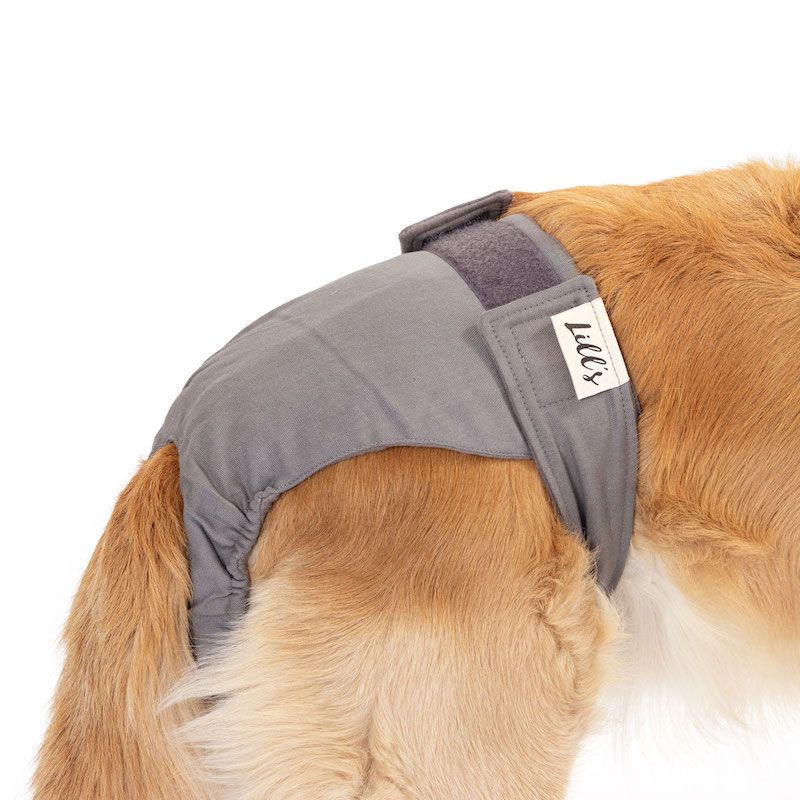 Läufigkeitshöschen Lou