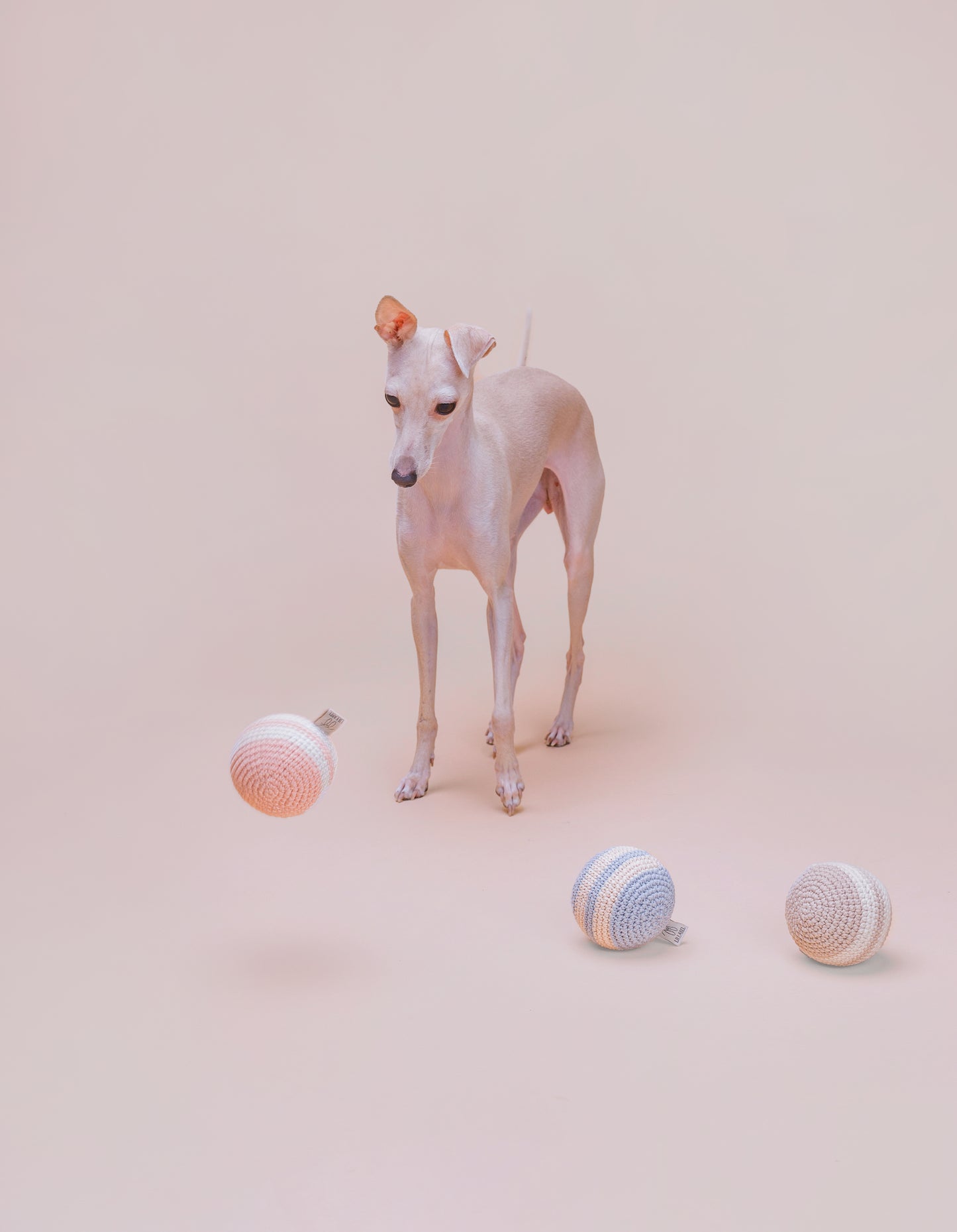 Hundeball RAINBOW