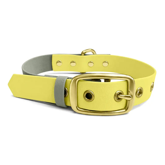 Handgemachtes Hundehalsband Outdoor – FLEX Lemon/Seagrass