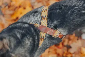 Peruanisches Geschirr