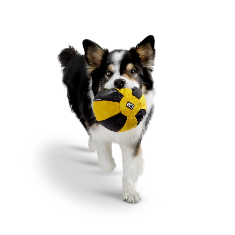 Ball