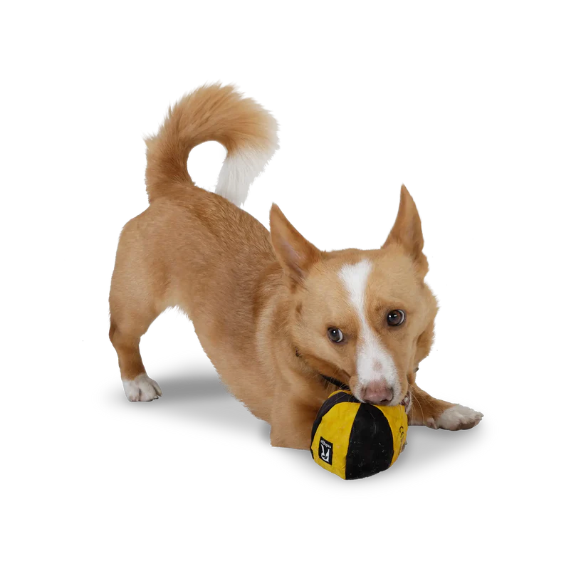Ball
