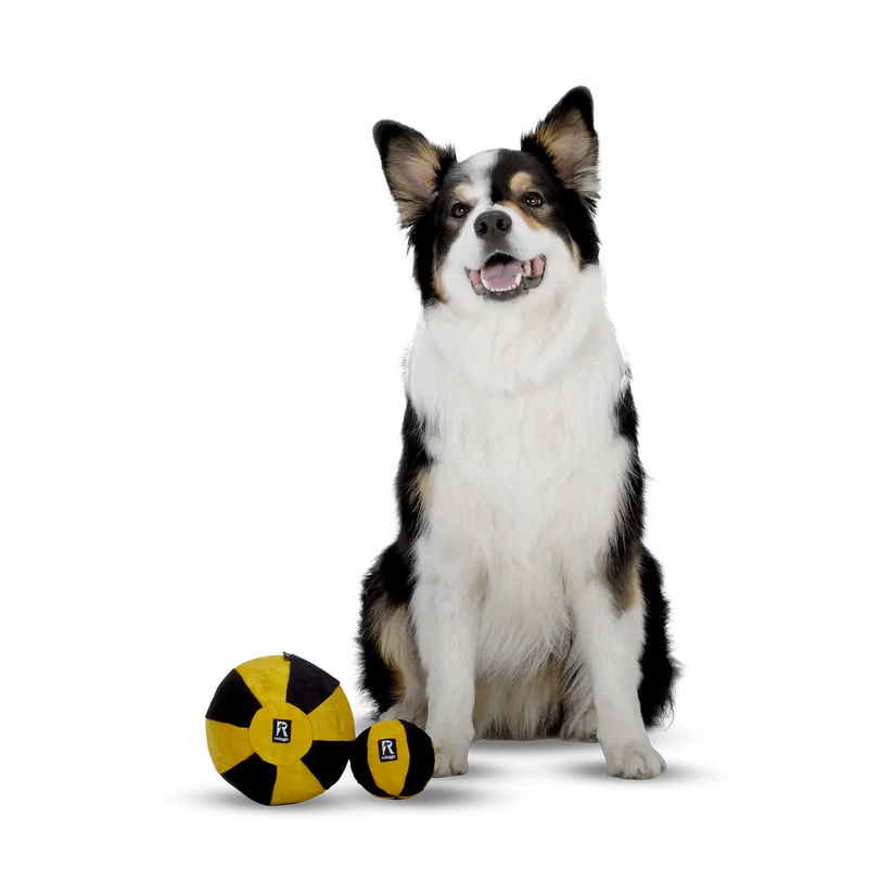 Ball