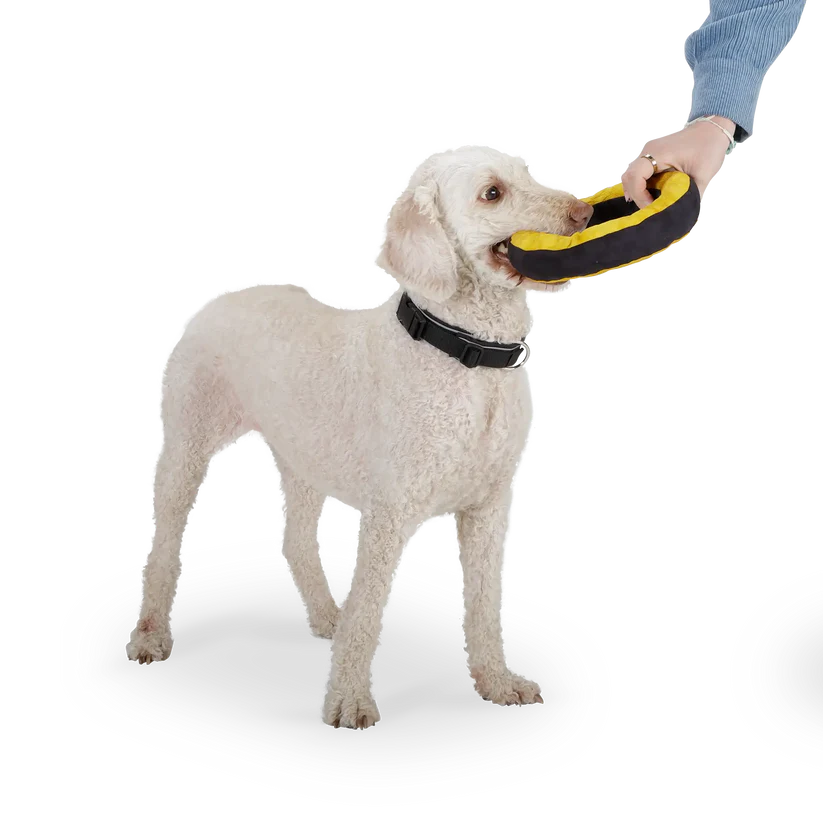 Donut