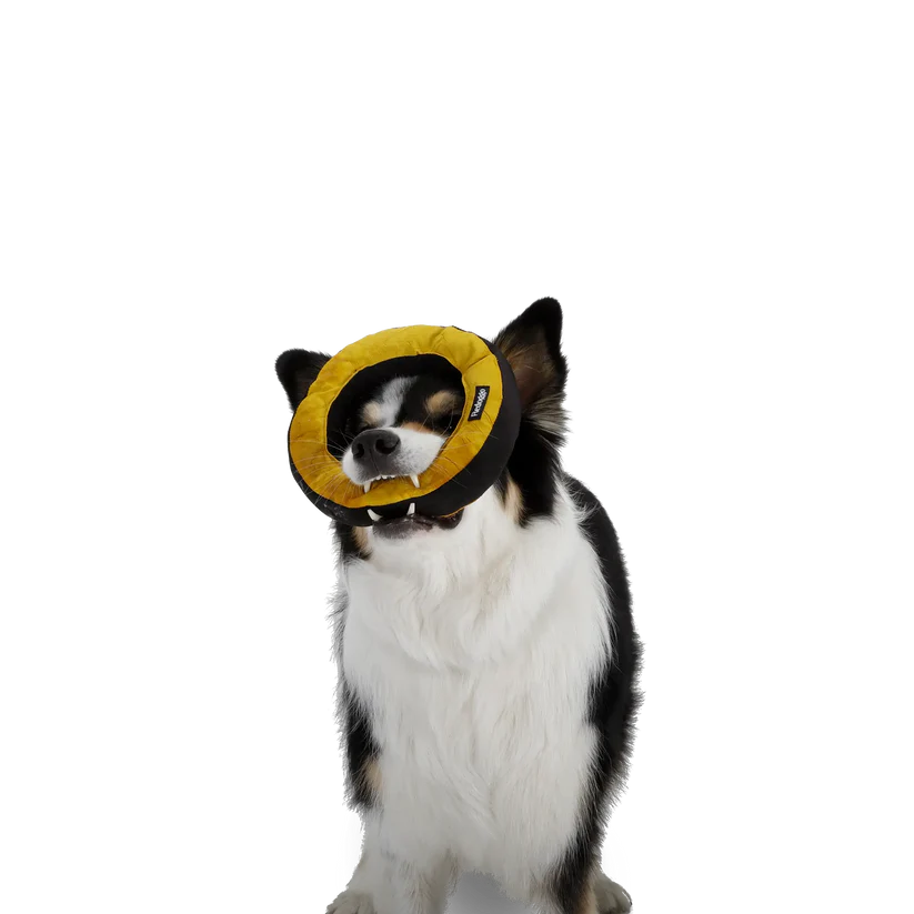 Donut