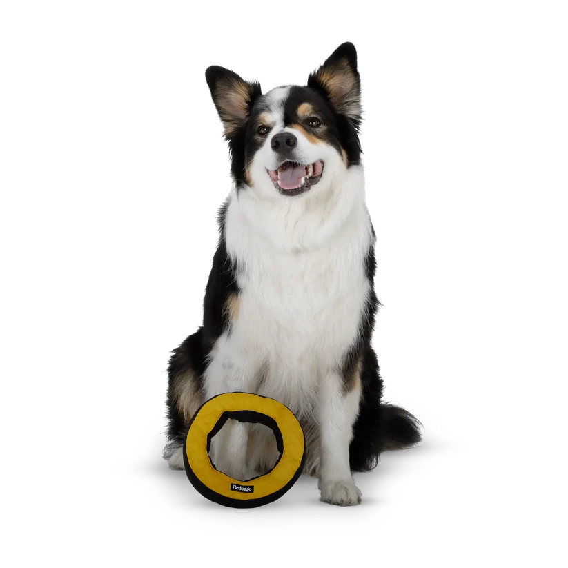 Donut