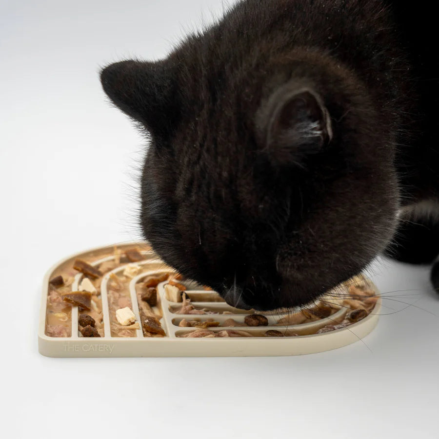 Schleckmatte Gourmet für kleine Hunde & Katzen